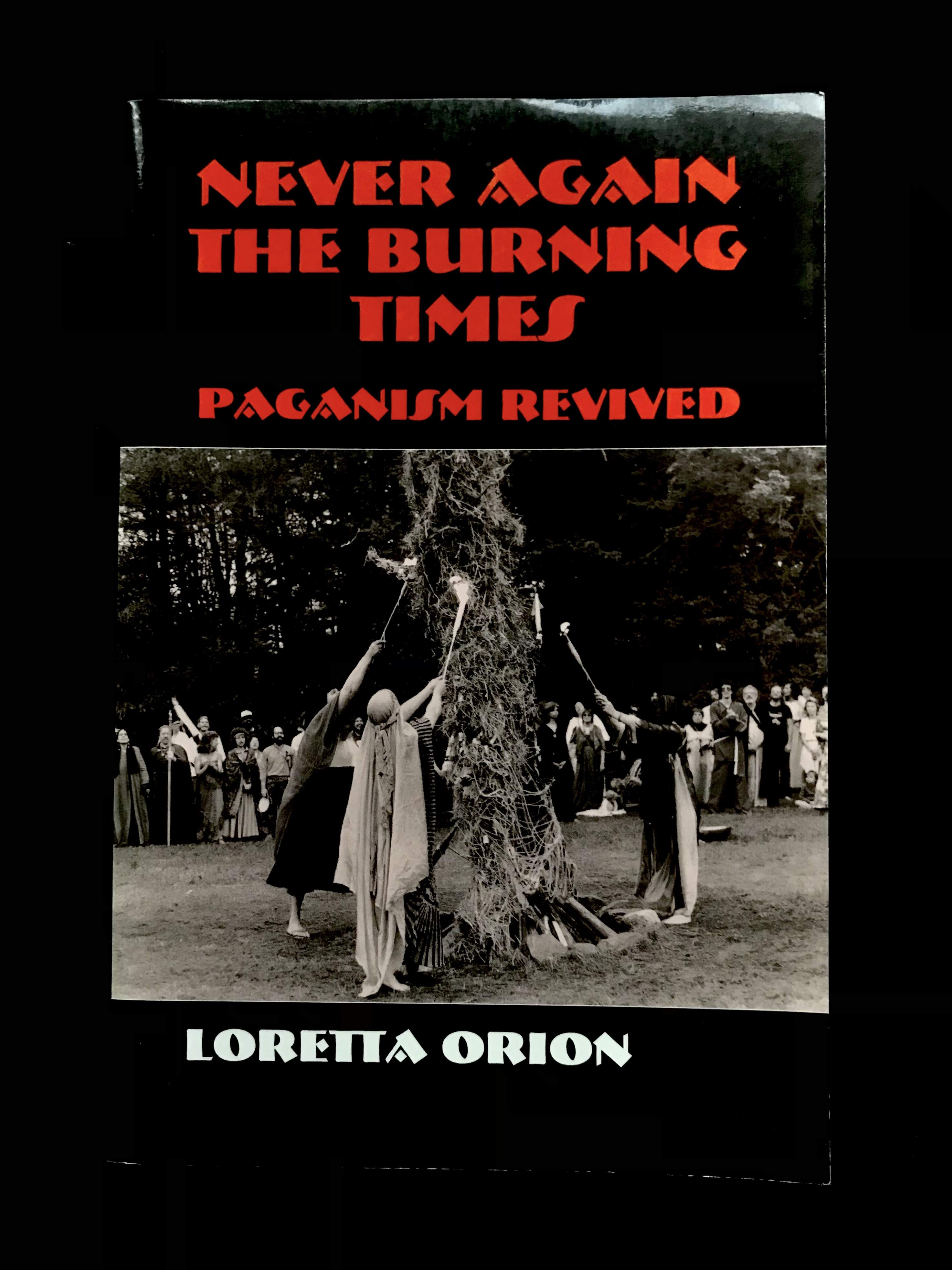 Never Again The Burning Times Paganism Revised by Loretta Orion