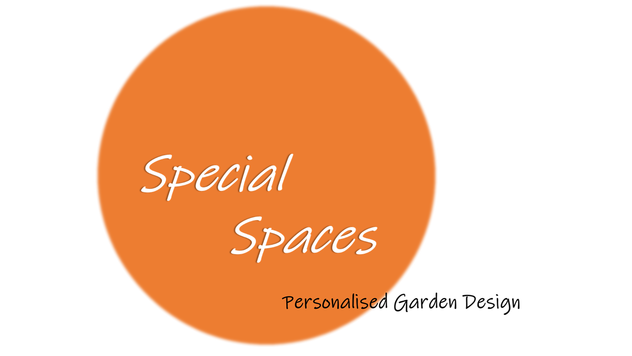 Special Spaces