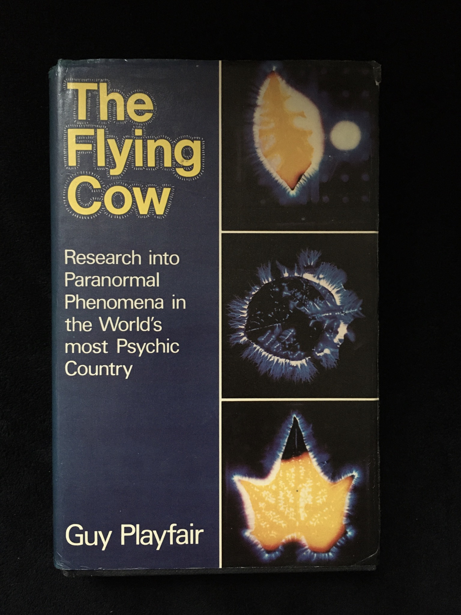 The Flying Cow: Research into Paranormal Phenomena in the World’s most Psychic Country, Guy Playfair