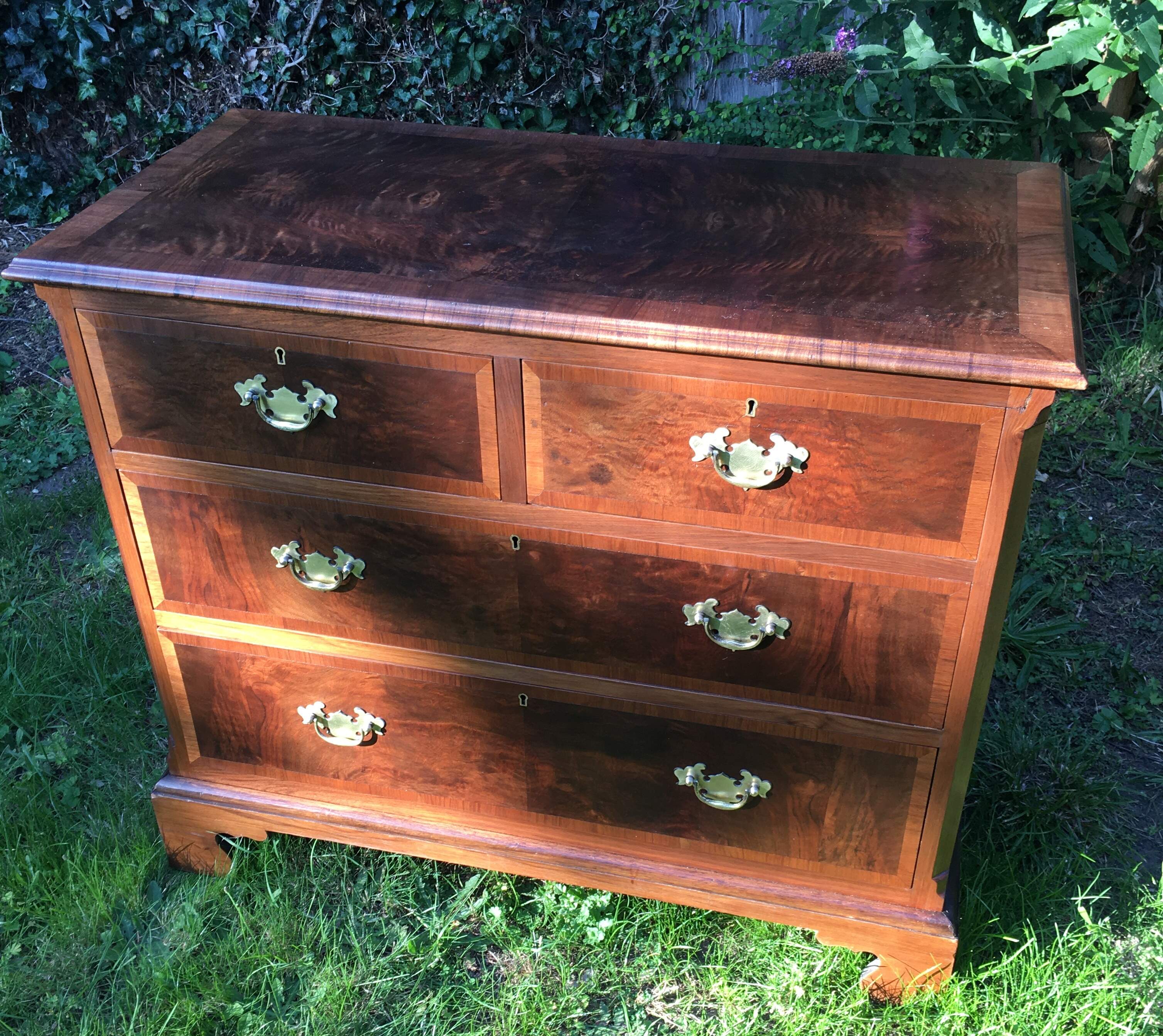 Early 20th Century Burr Walnut 36" Chest of Drawers