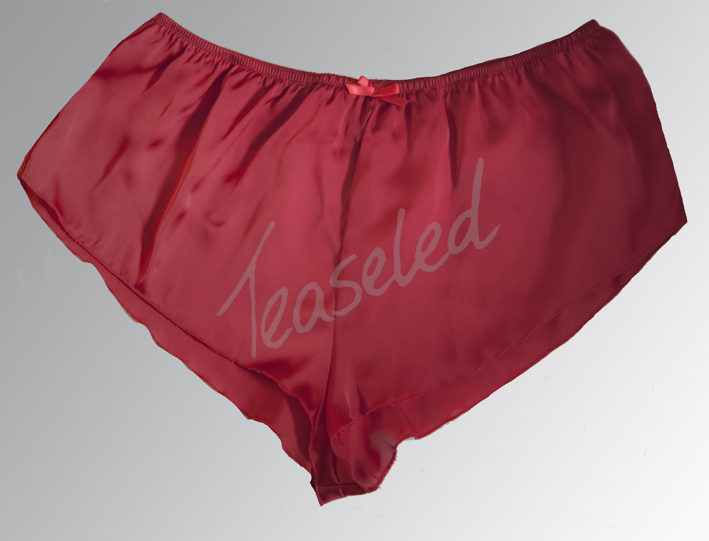Silky Satin French Knickers Red