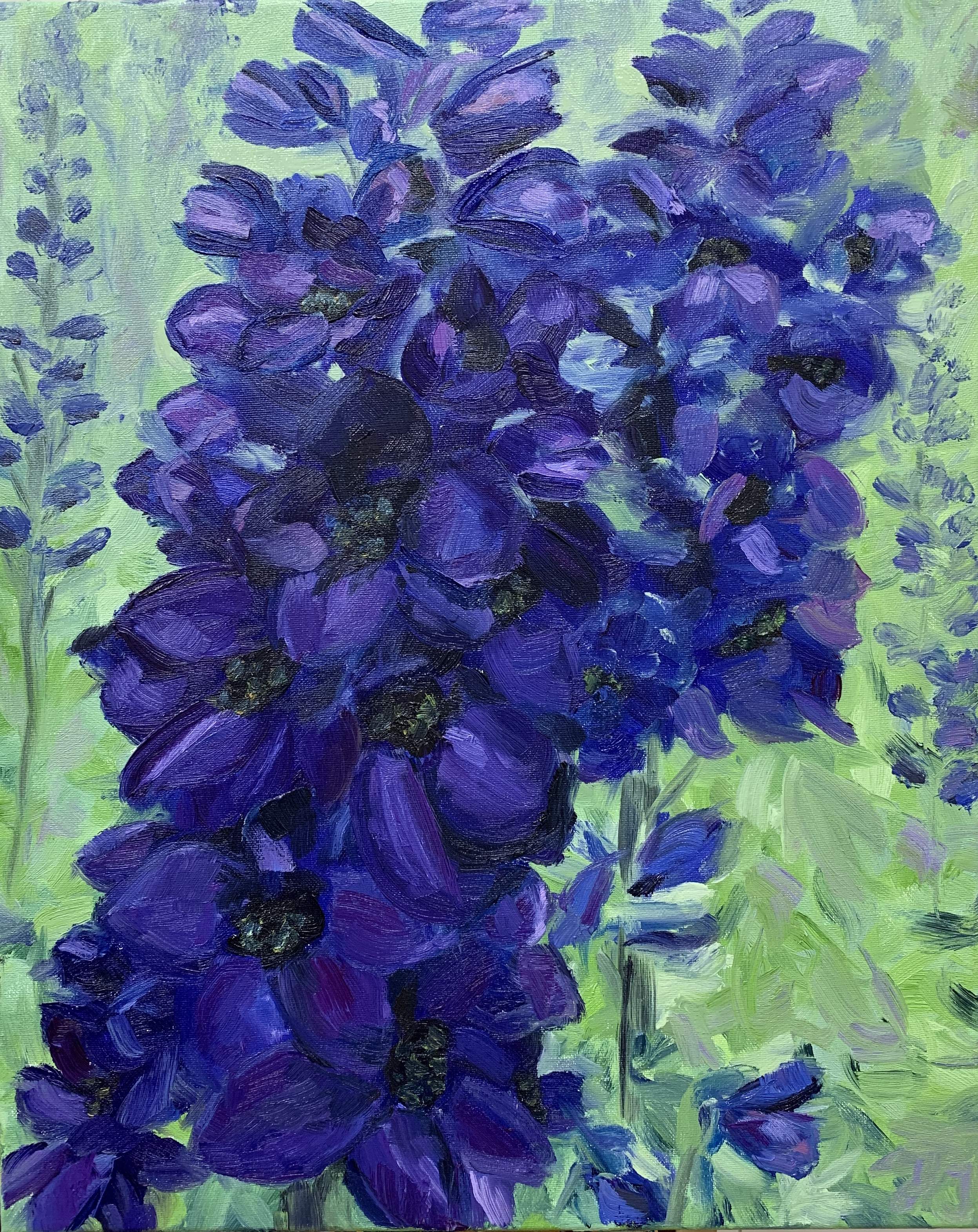 Delphiniums