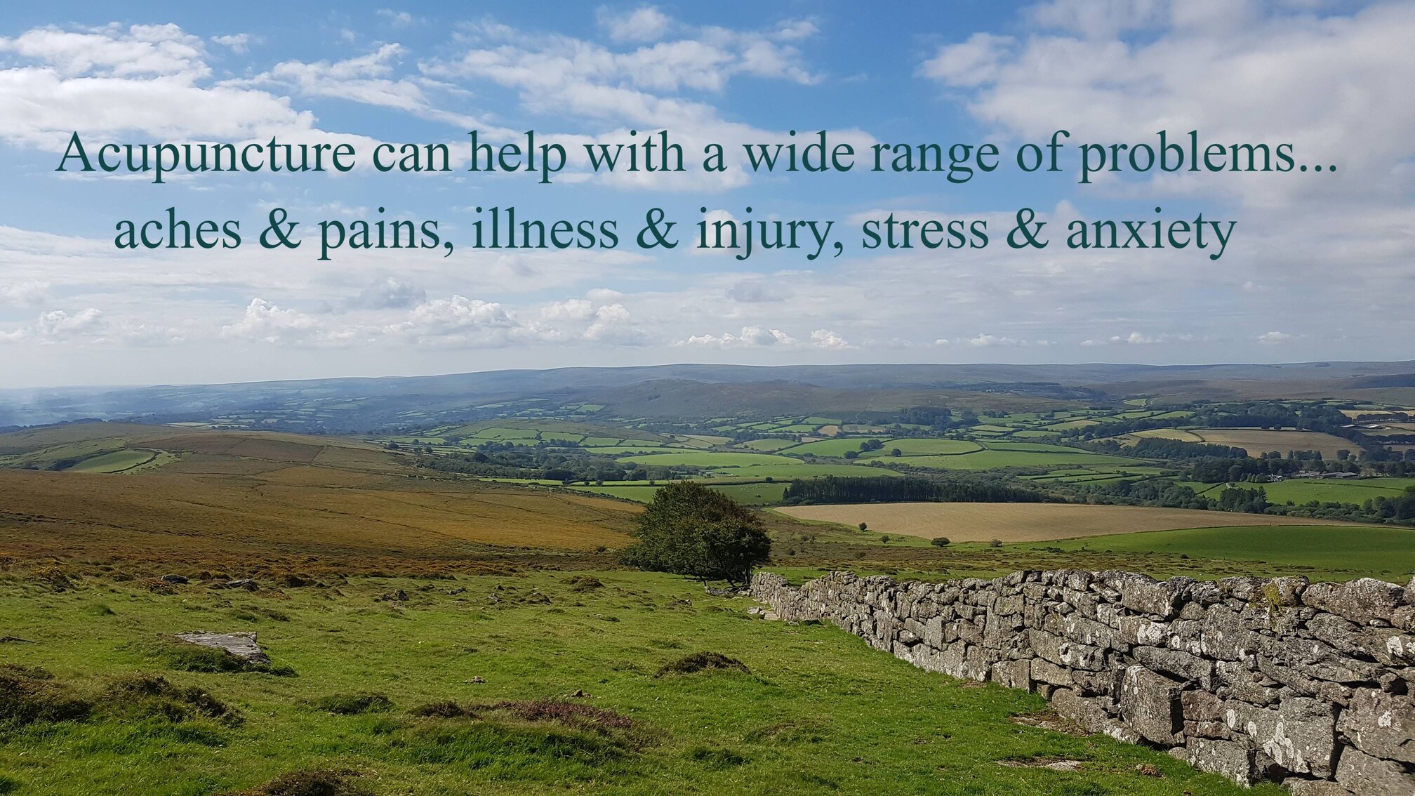 Acupuncture can help with a wide range of problems... aches & pains, illness & injury, stress & anxiety