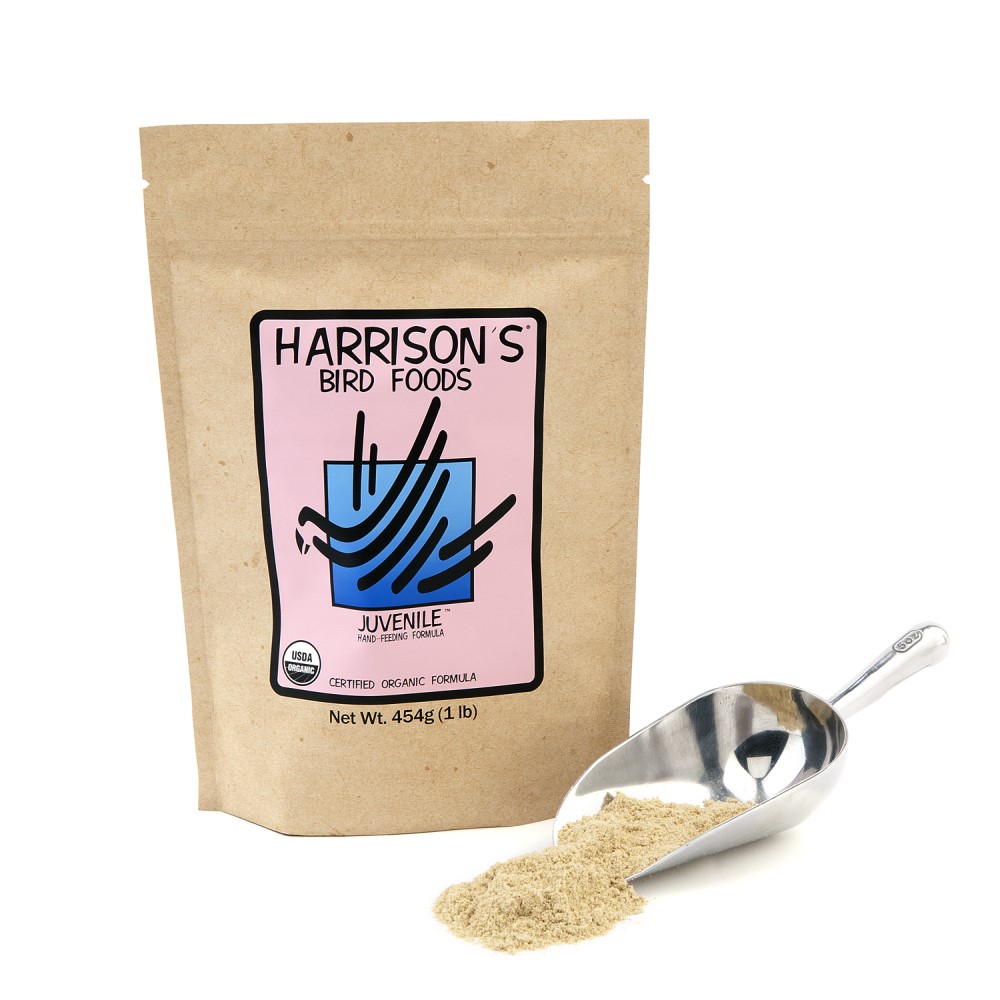 Harrison's Bird Foods Juvenile Hand-feeding Formula
