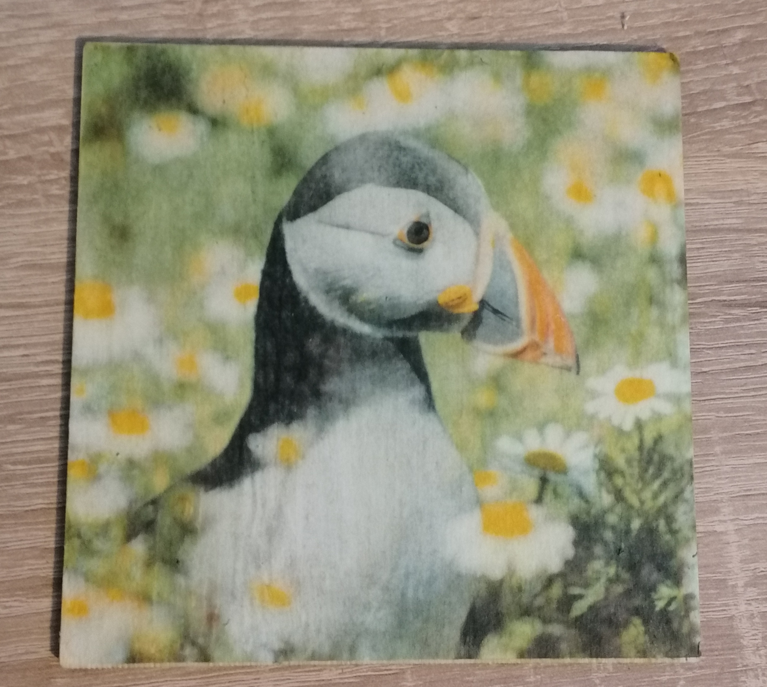 Wooden puffin photo