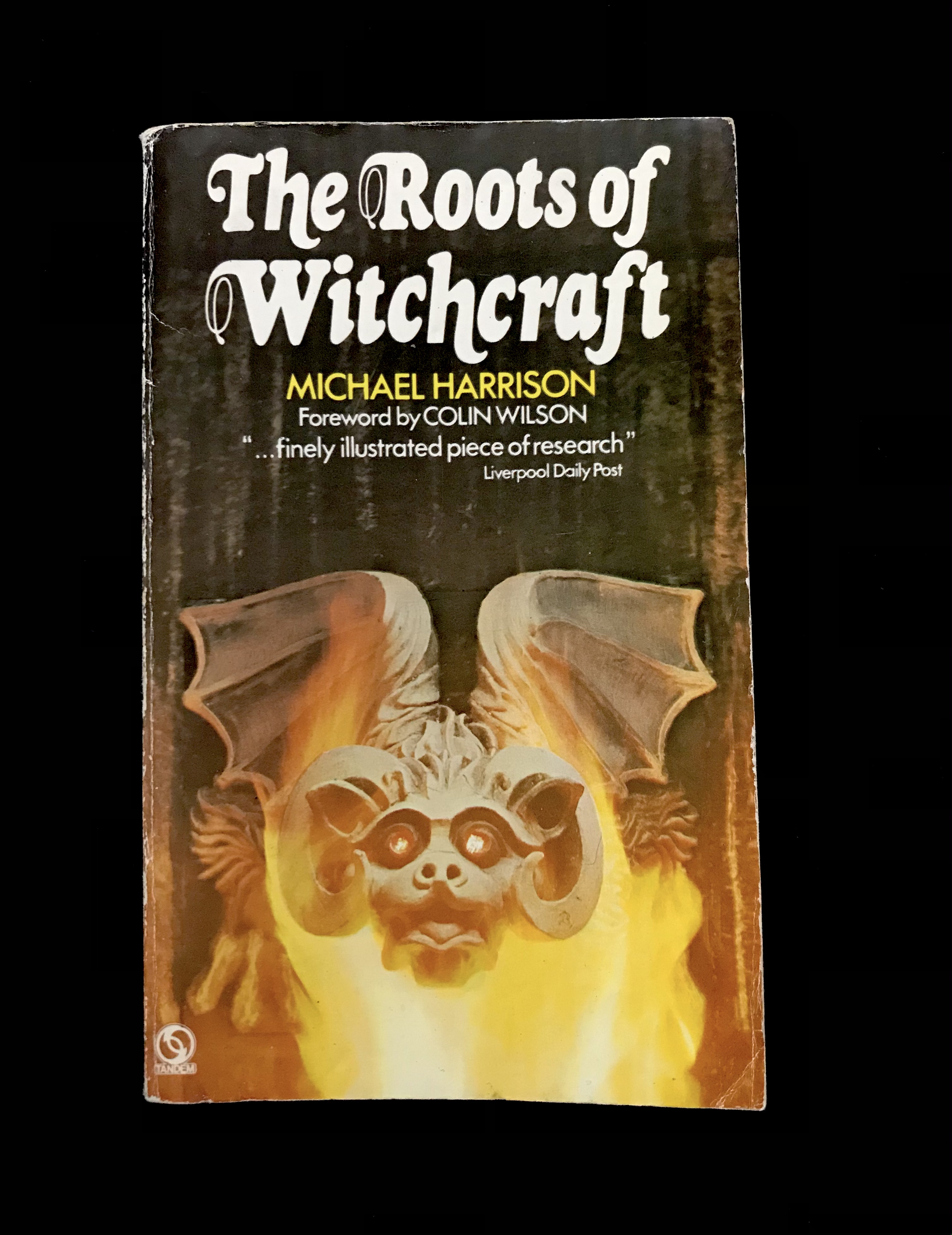 The Roots of Witchcraft by Michael Harrison