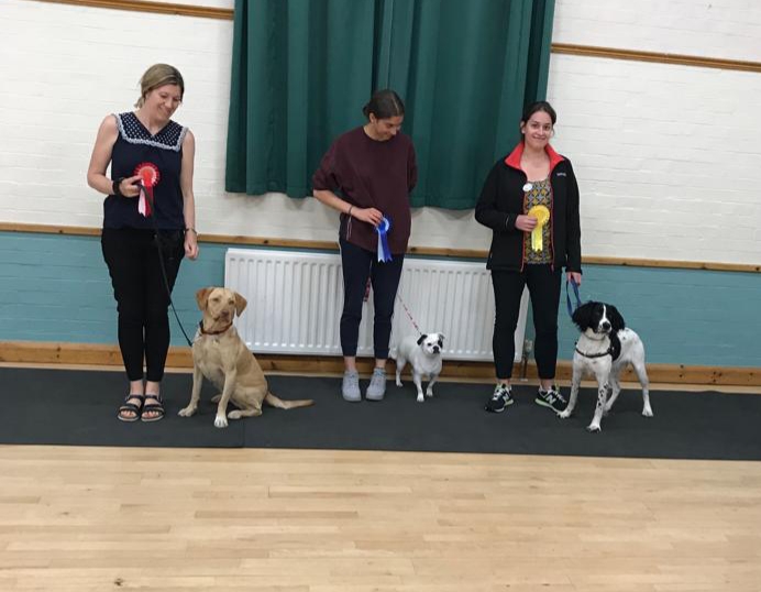 North Herts Dog Training Club