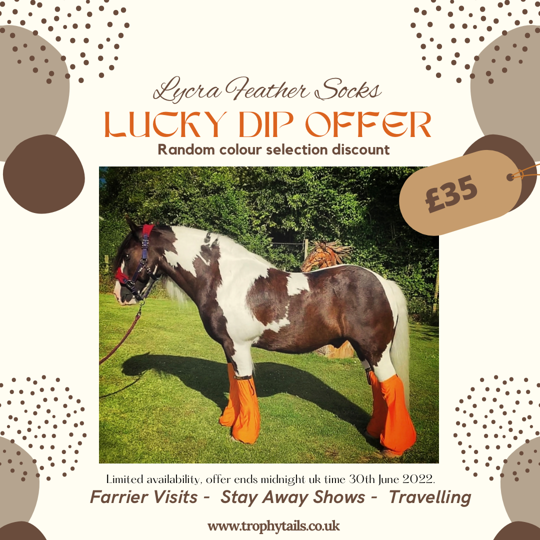 Feather Socks - Lucky dip offer