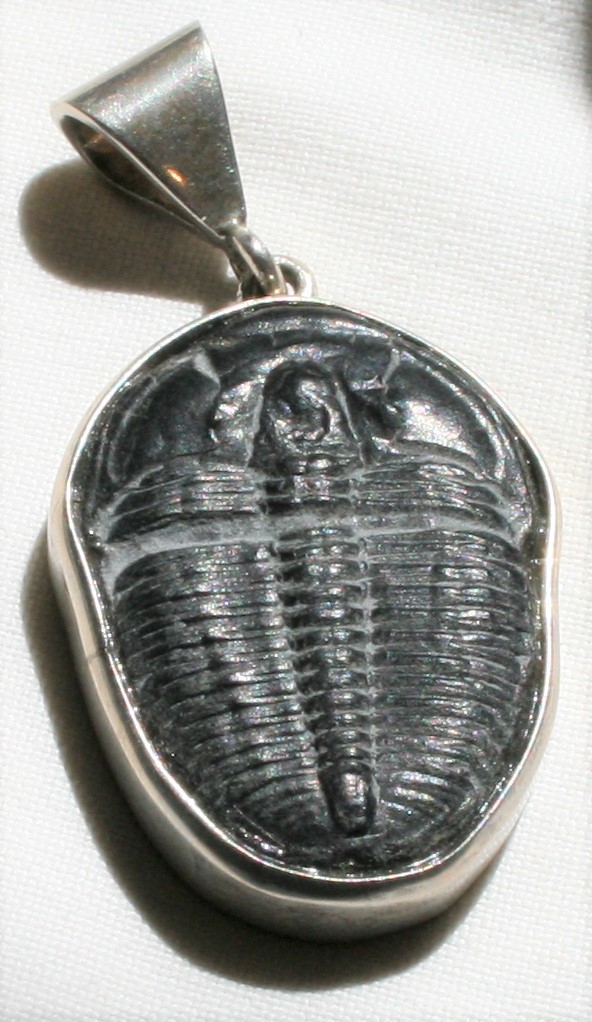 Triolobite pendant
