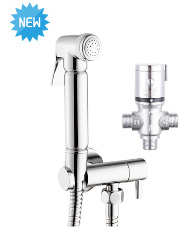 Thermostatic BIV  complete with douche kit