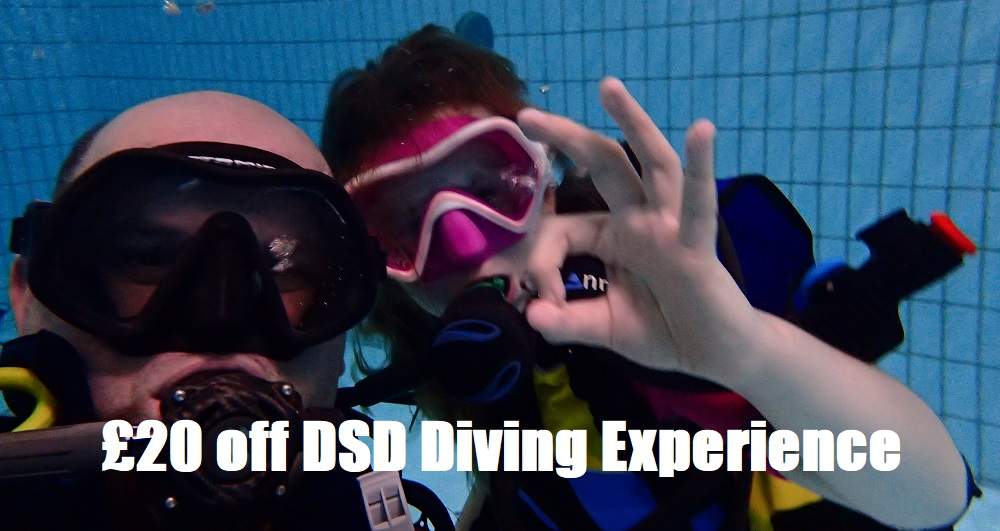 Try Diving