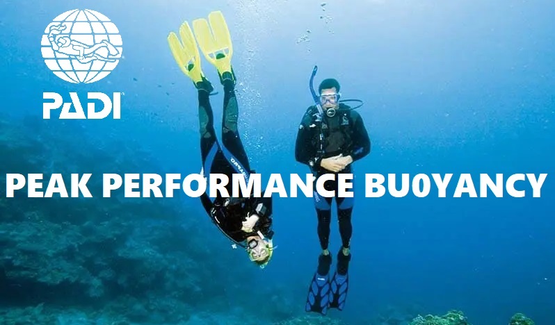 Padi Peak Performance Buoyancy