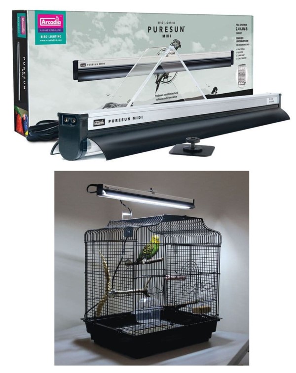 Arcadia Pure Sun Midi, with its packaging, and a seperate picture of it mounted over a cage containing a budgerigar