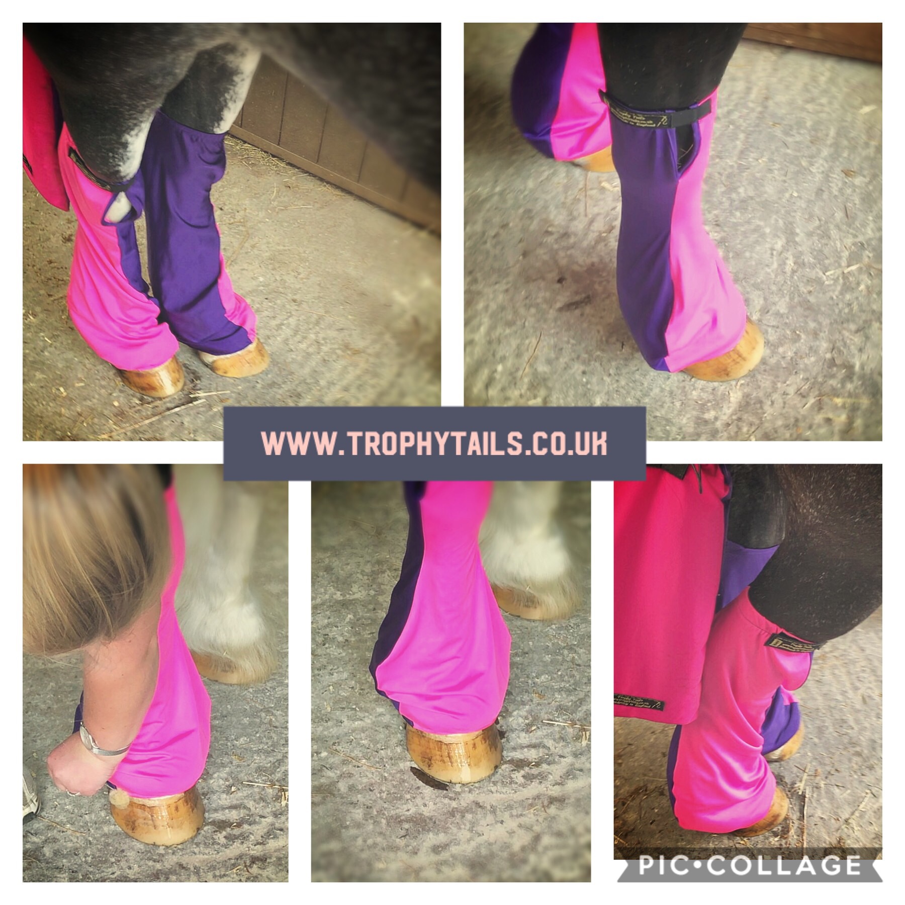 Trophy Tails Lycra Leg Socks© - Two Colours
