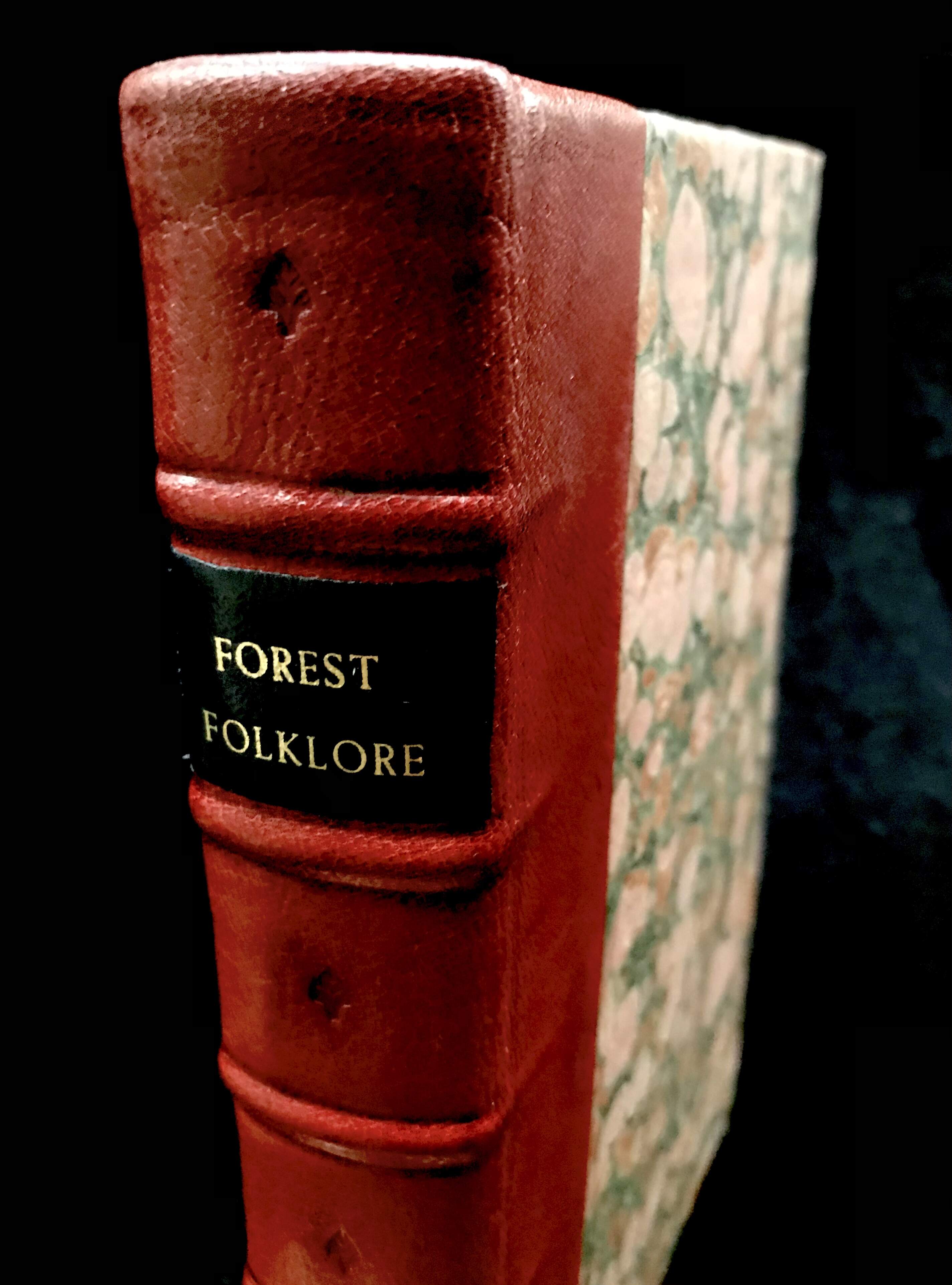 Forest Folklore, Mythology & Romance by Alexander Porteous