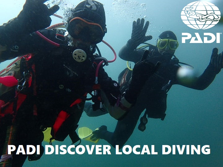 Padi Discover Local Scuba diving in Northern Ireland