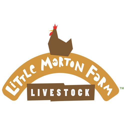 Chickens for Sale at Little Morton Farm