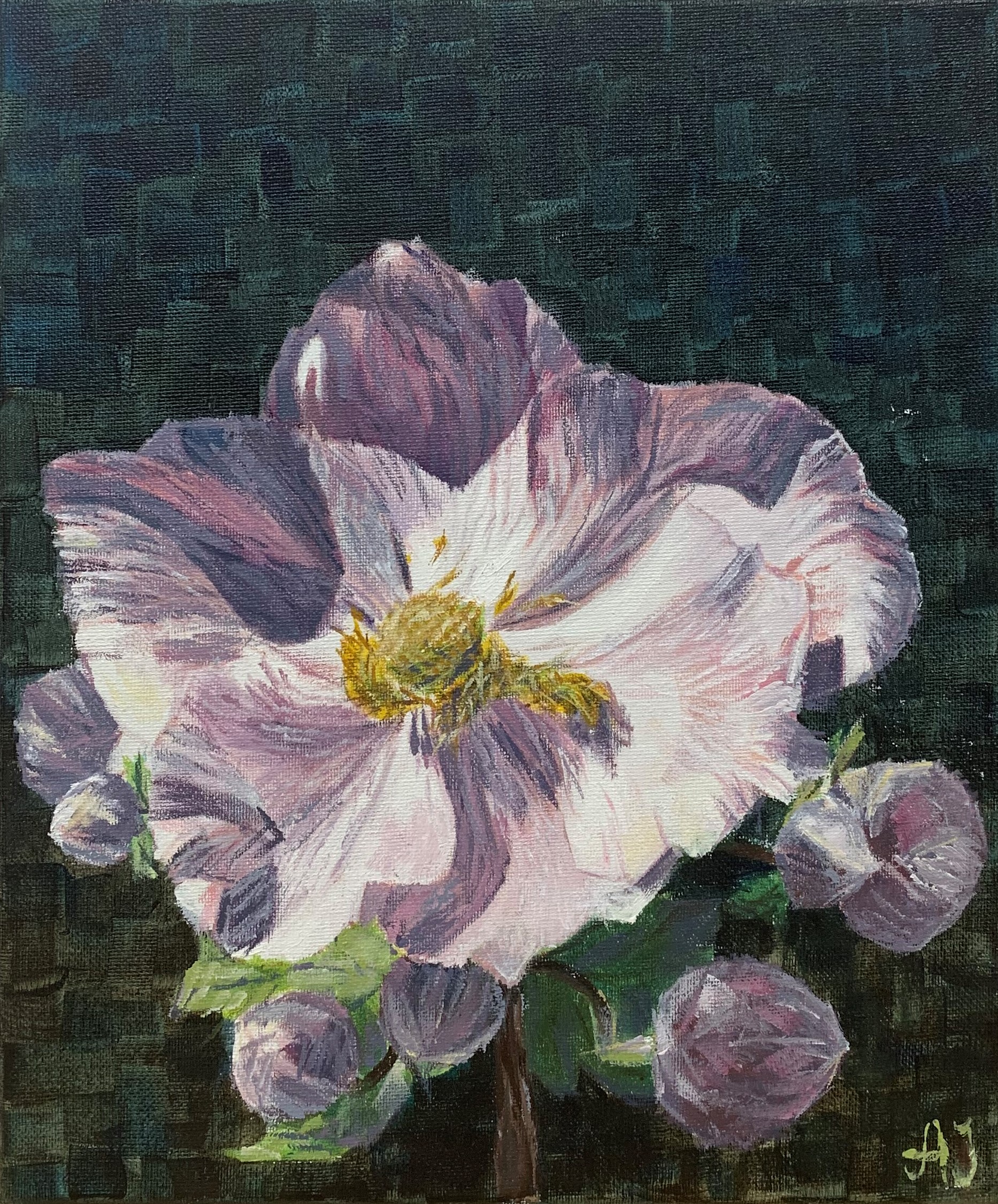 Portrait of Anemone