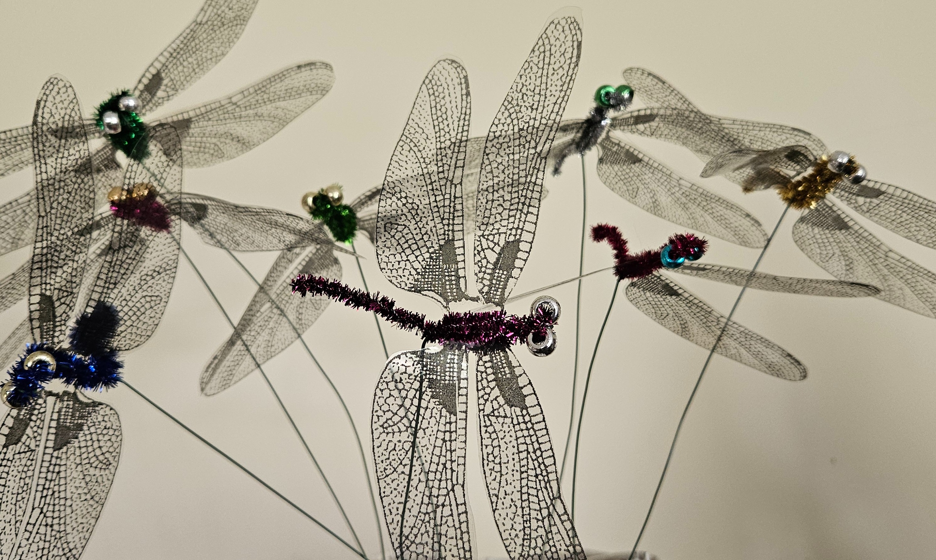 Fluttering Butterfly & Dragonfly stems