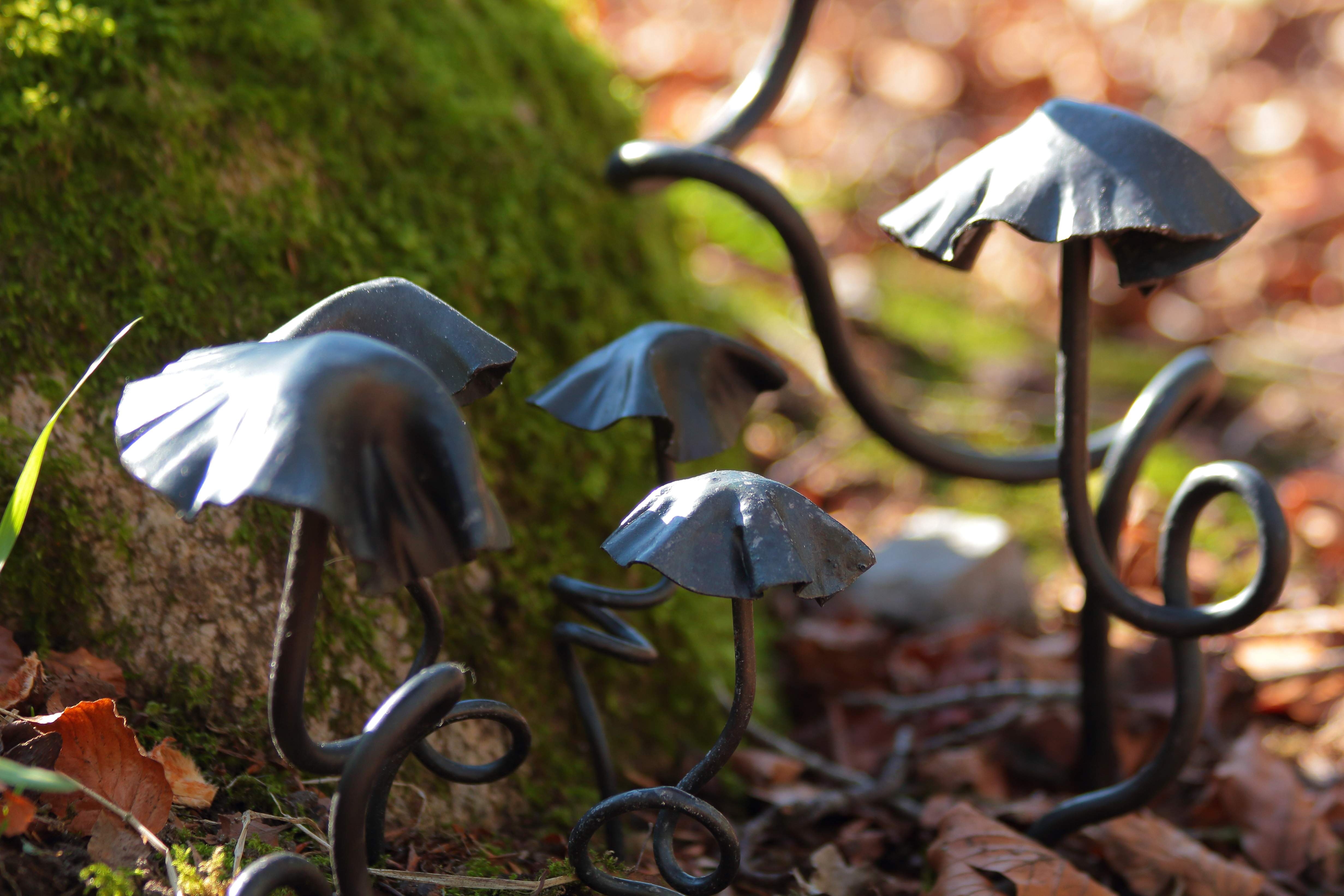 Staked Mushrooms
