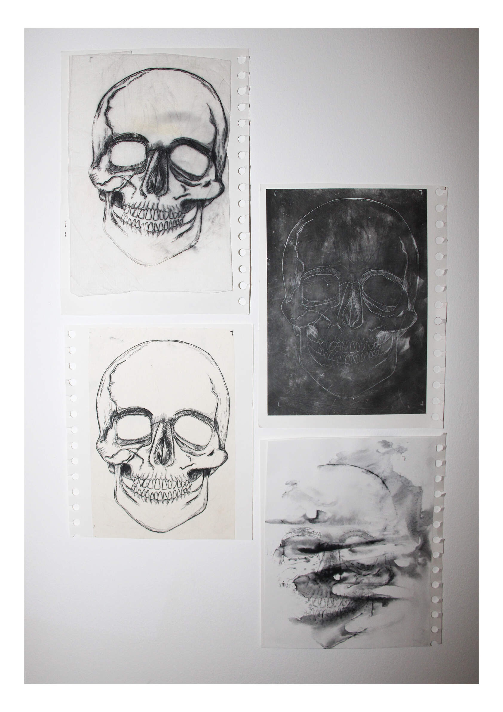 3 skull etchings and 1 skull photogram onto card, napkin, card with water and photographic paper, A5