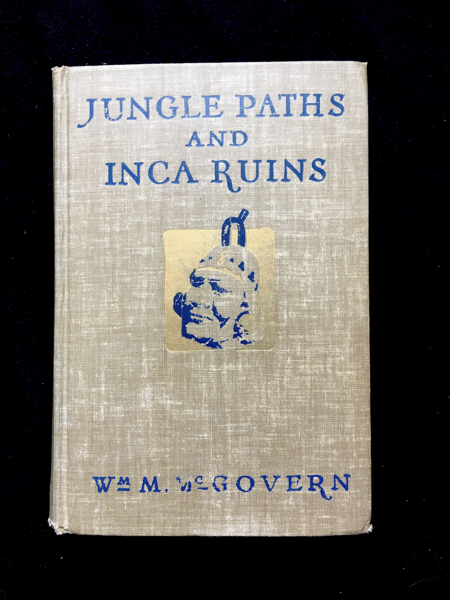 Jungle Paths and Inca Ruins by William Montgomery McGovern