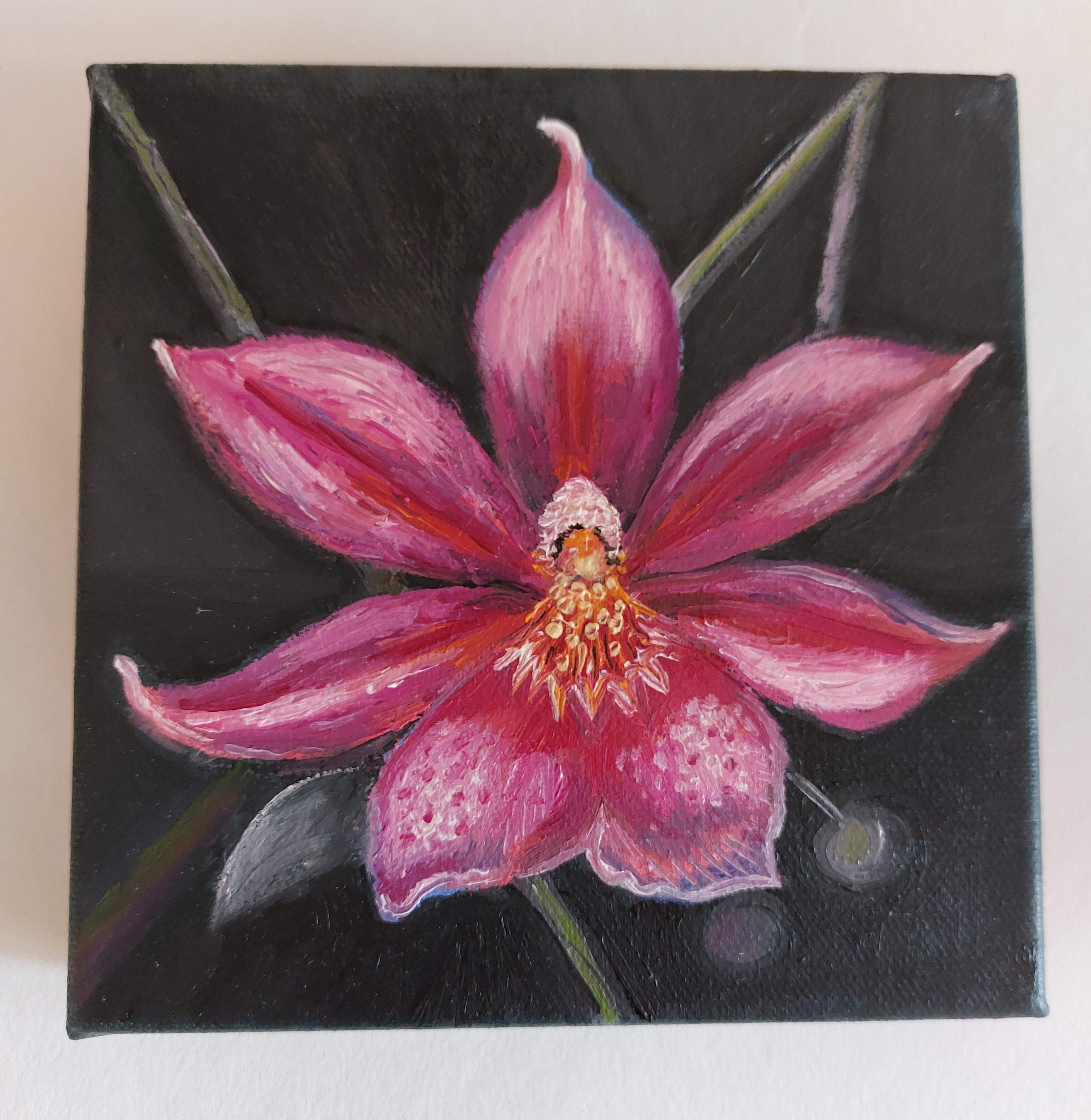 Orchid Portrait  IV