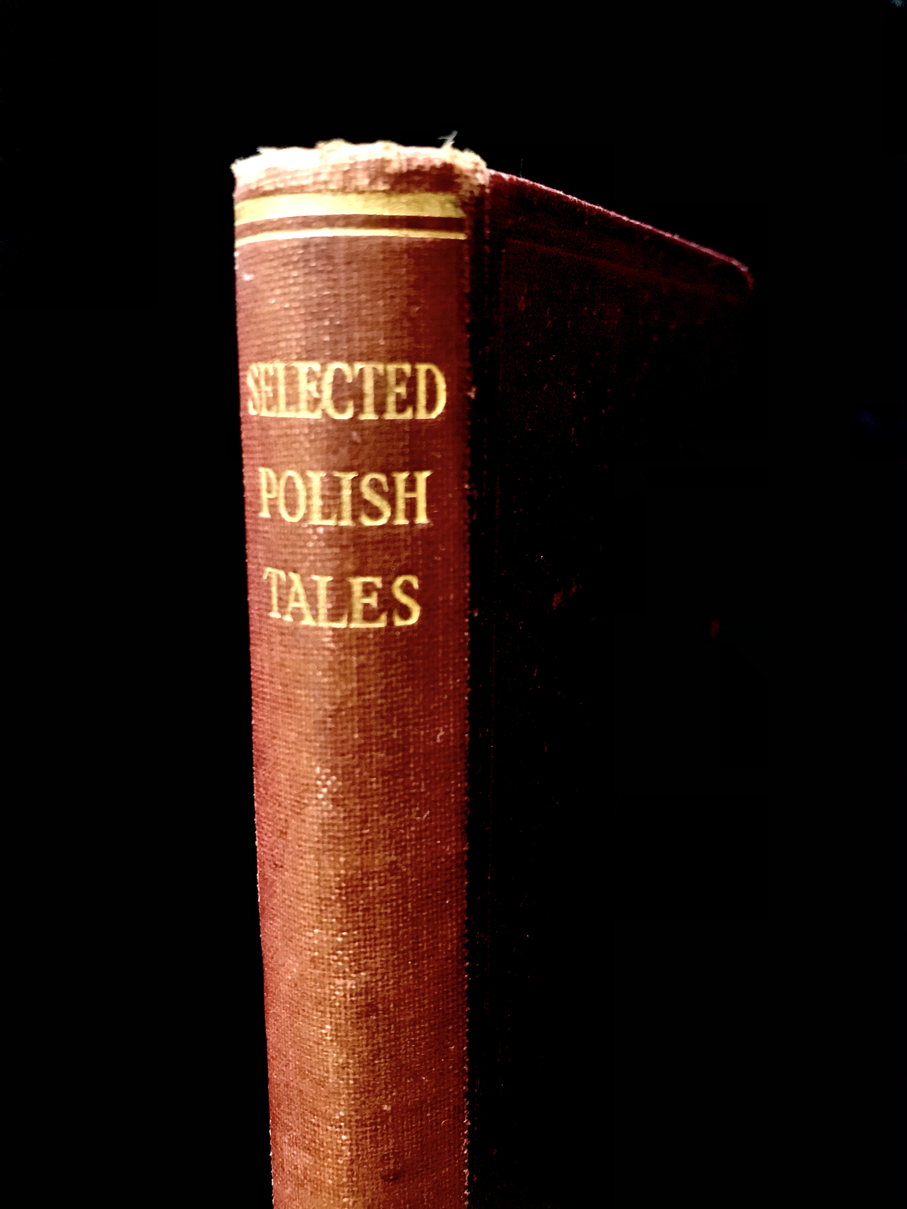 Selected Polish Tales Translated by Else C. M. Benecke & Marie Busch