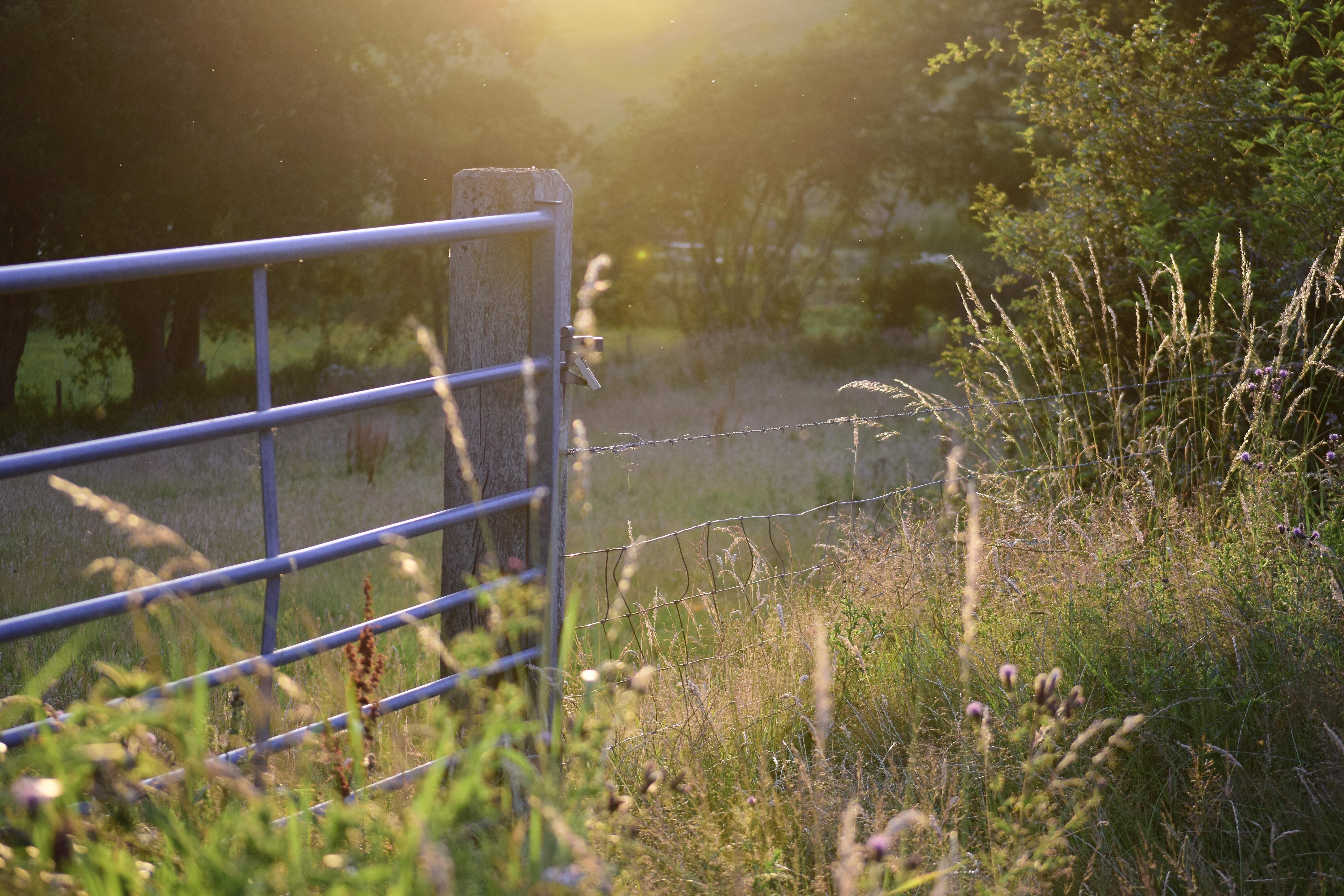 Farm gate in sunset
