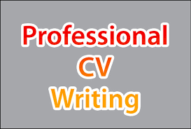 Let us assist Young Persons with their CV's