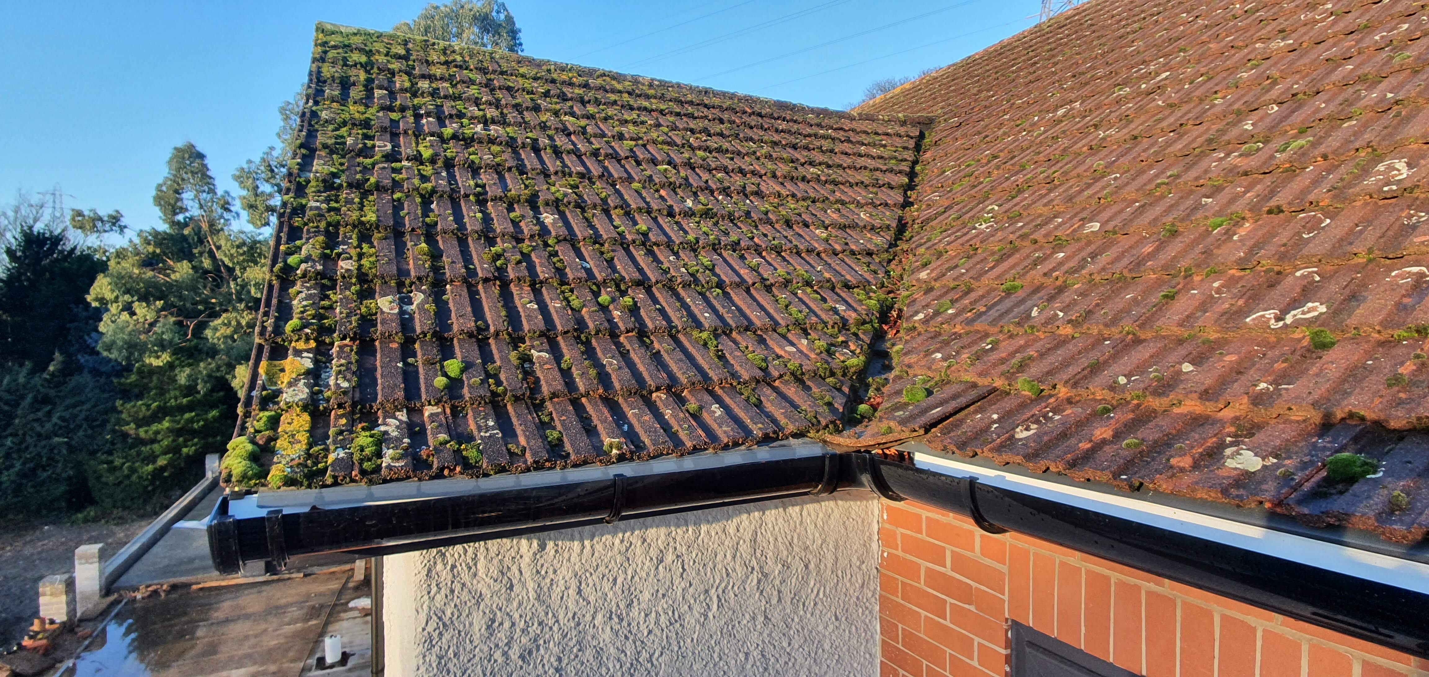 Roof moss removal