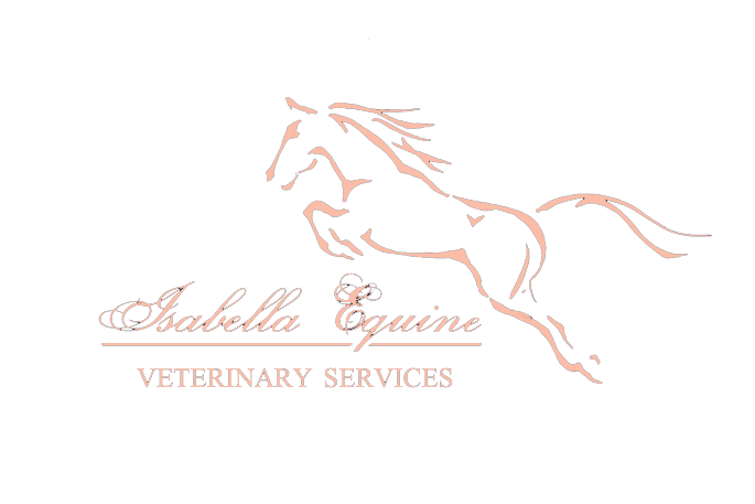 Isabella Equine Vet