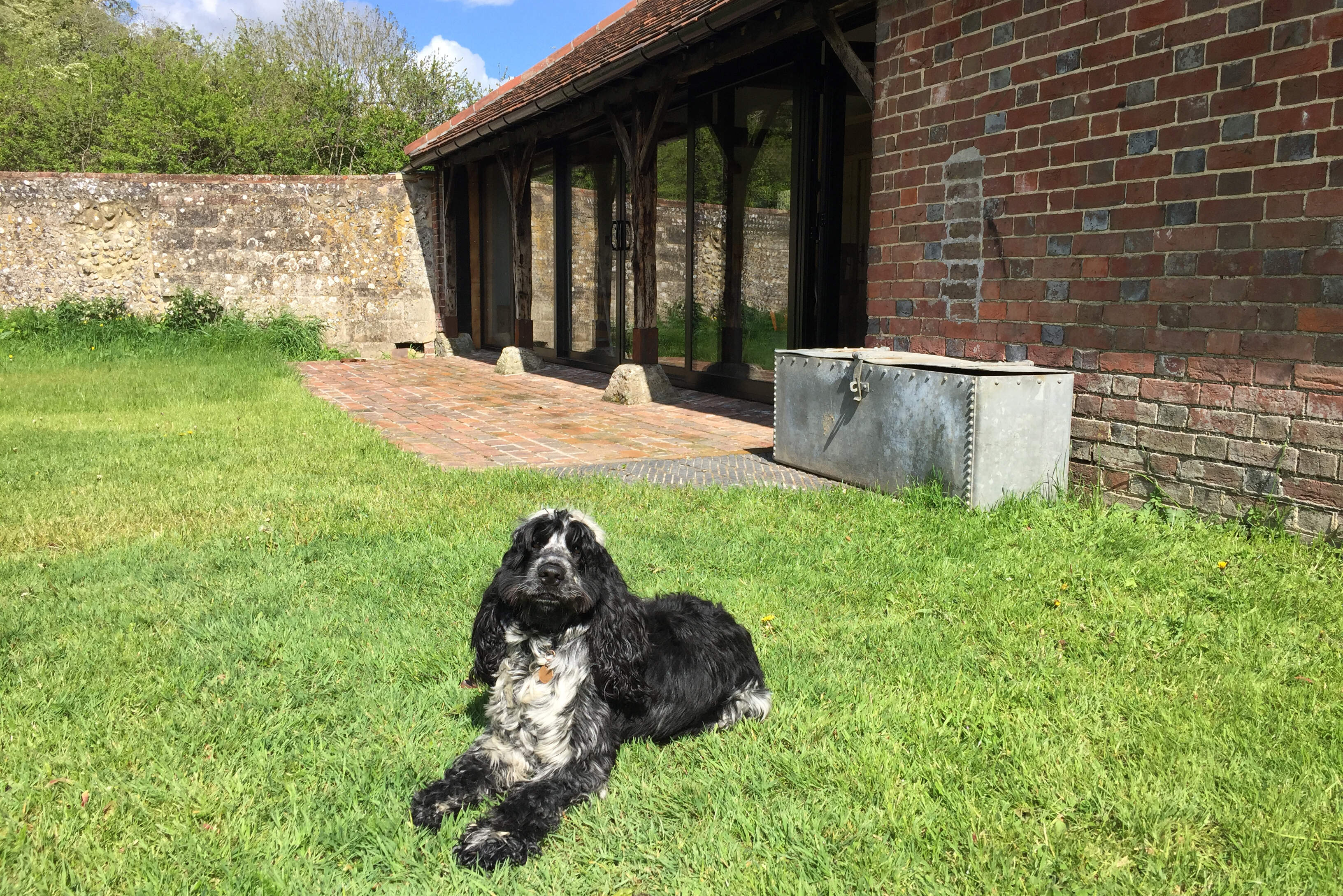 A well behaved dog enjoys Upper Barns peaceful grounds