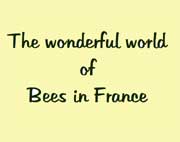 Bees in France
