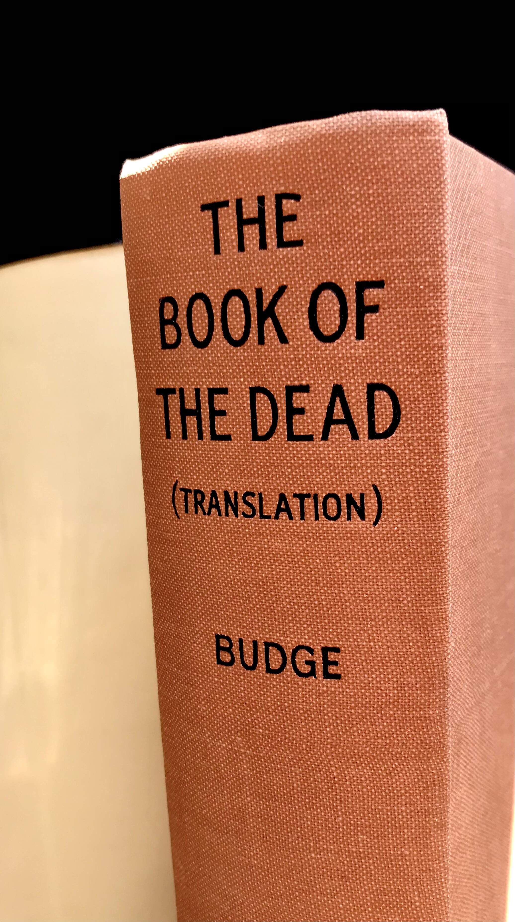 The Book Of The Dead by Wallis E. A. Budge