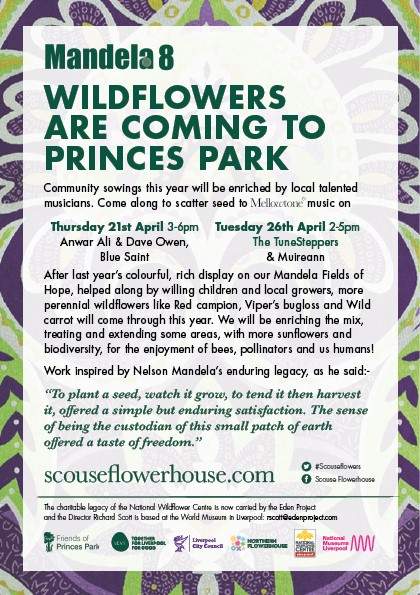 Wildflowers are coming to Princes Park