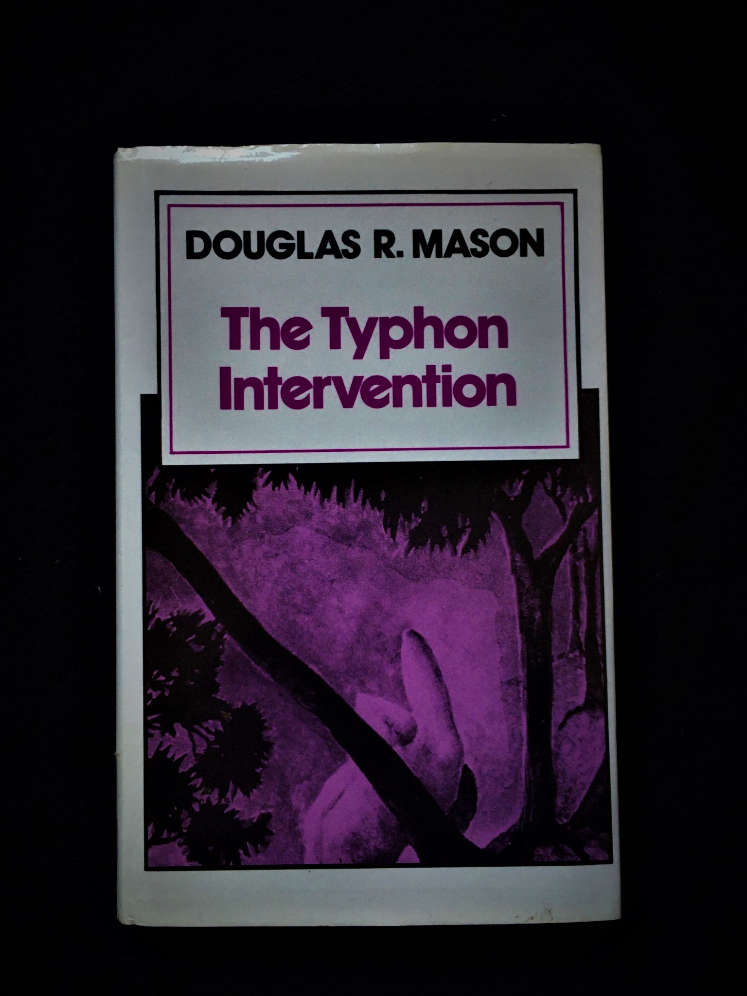 The Typhon Intervention by Douglas R. Mason
