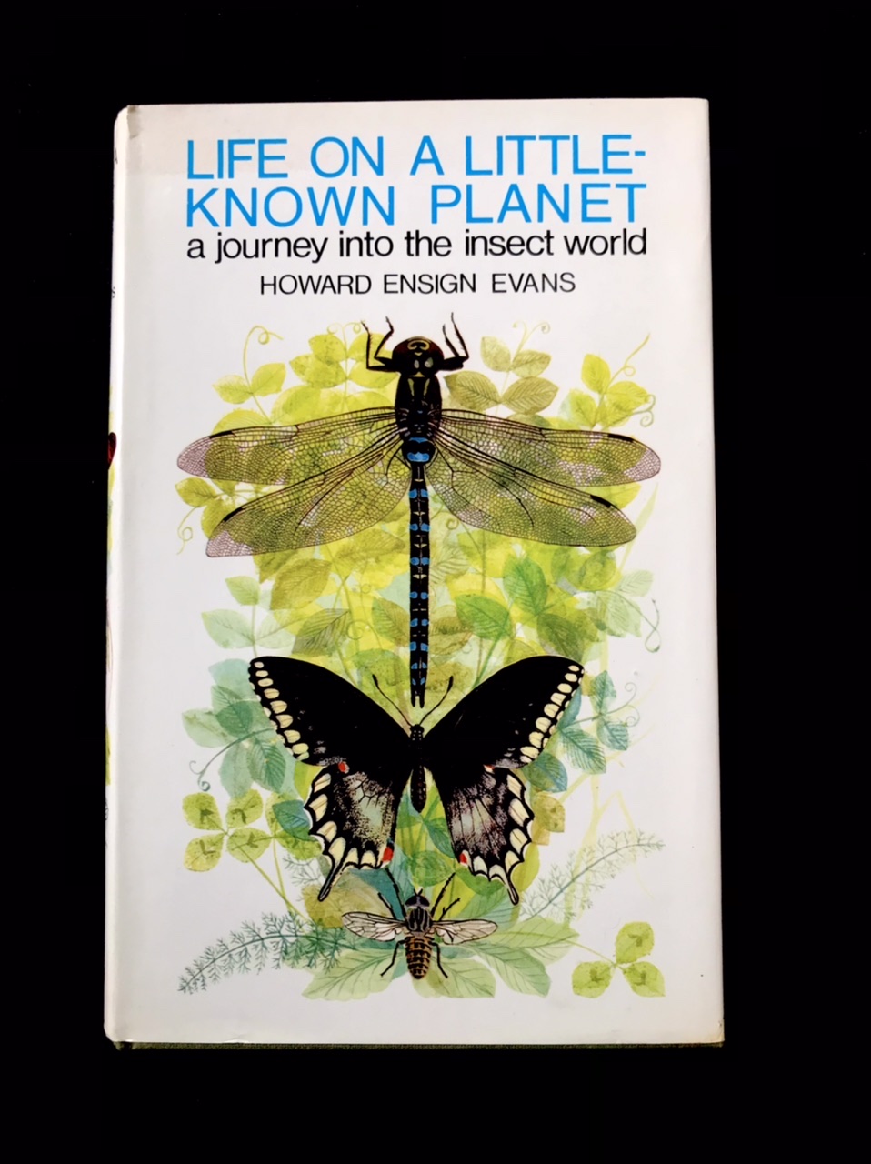 Life On A Little Known Planet: A Journey Into The Insect World by Howard E. Evans