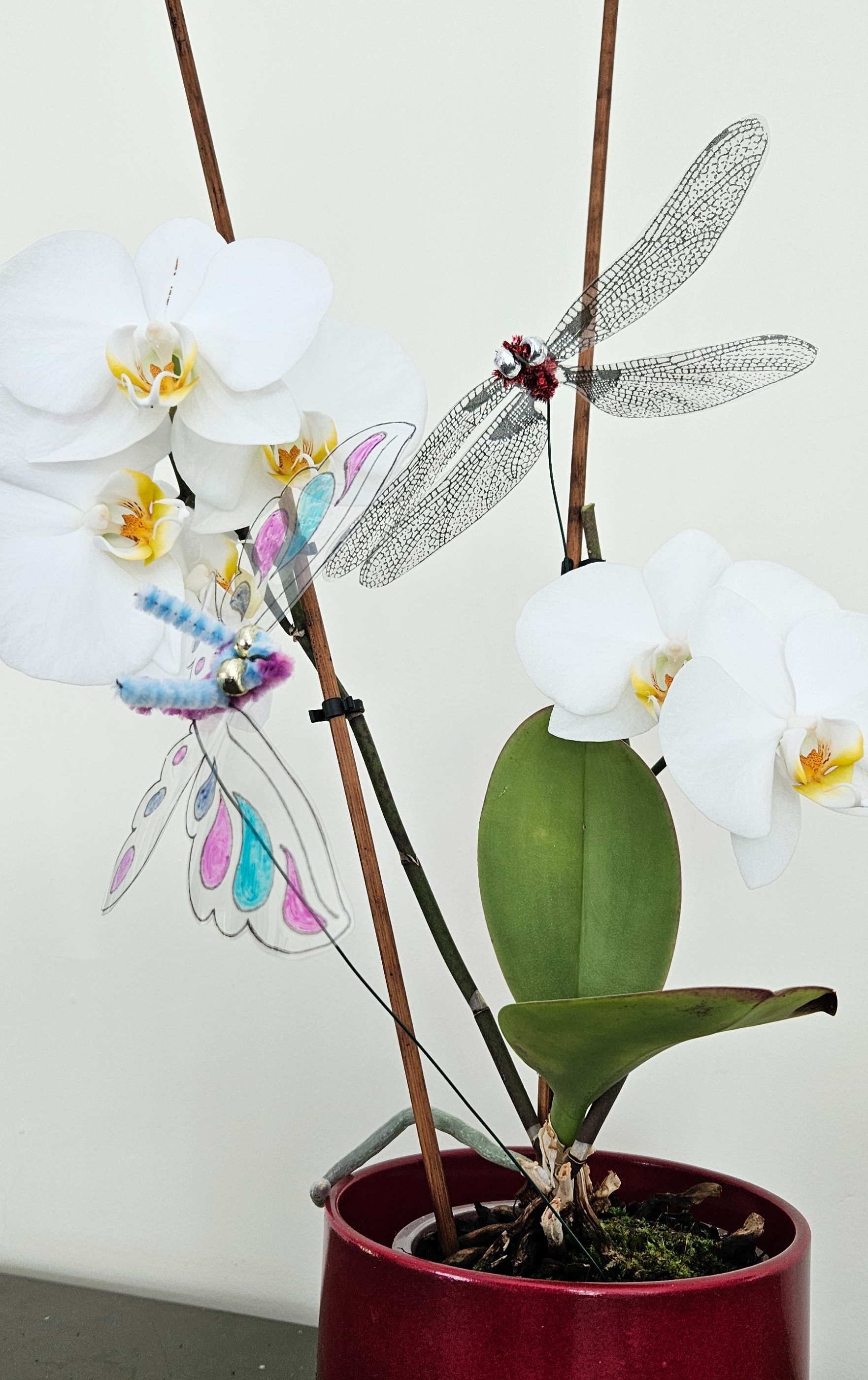 Fluttering Butterfly & Dragonfly stems