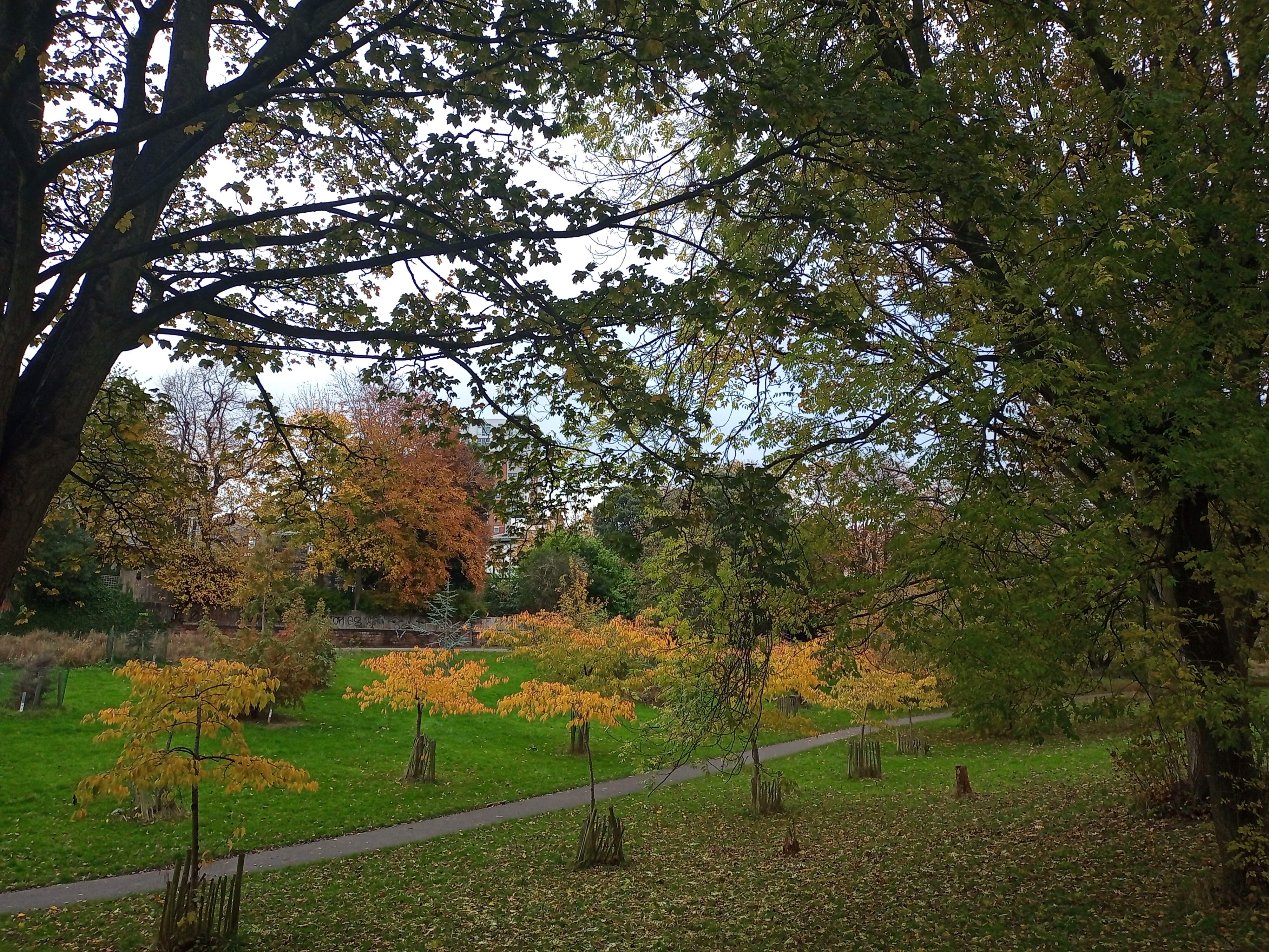Autumn in Princes Park