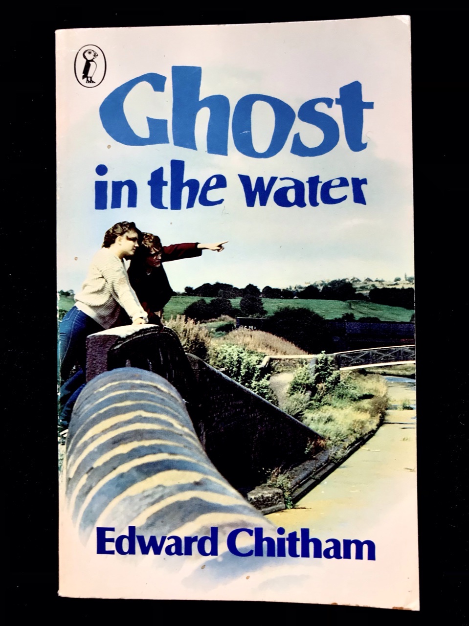Ghost In The Water by Edward Chitham