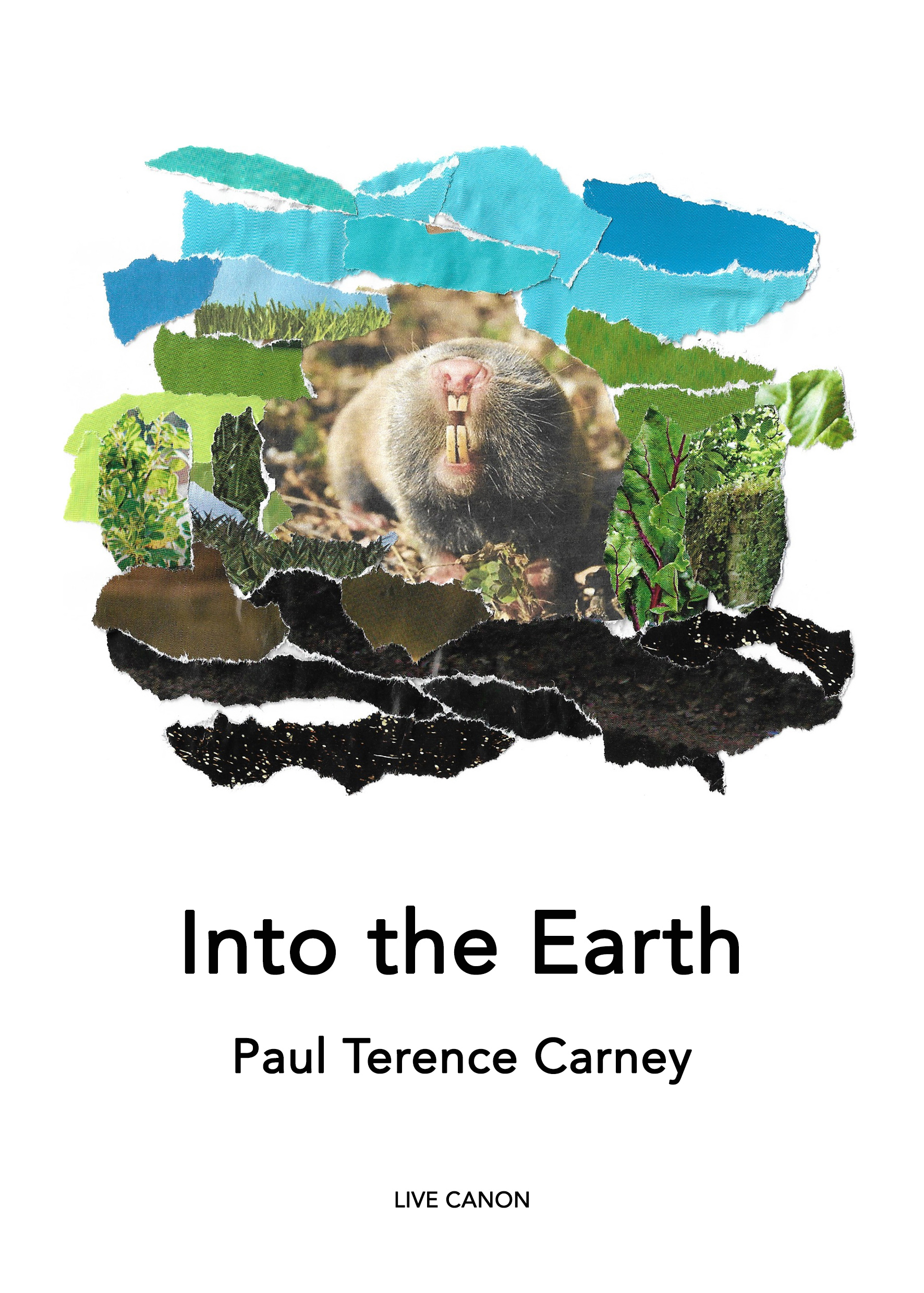 Into the Earth, Paul Terence Carney