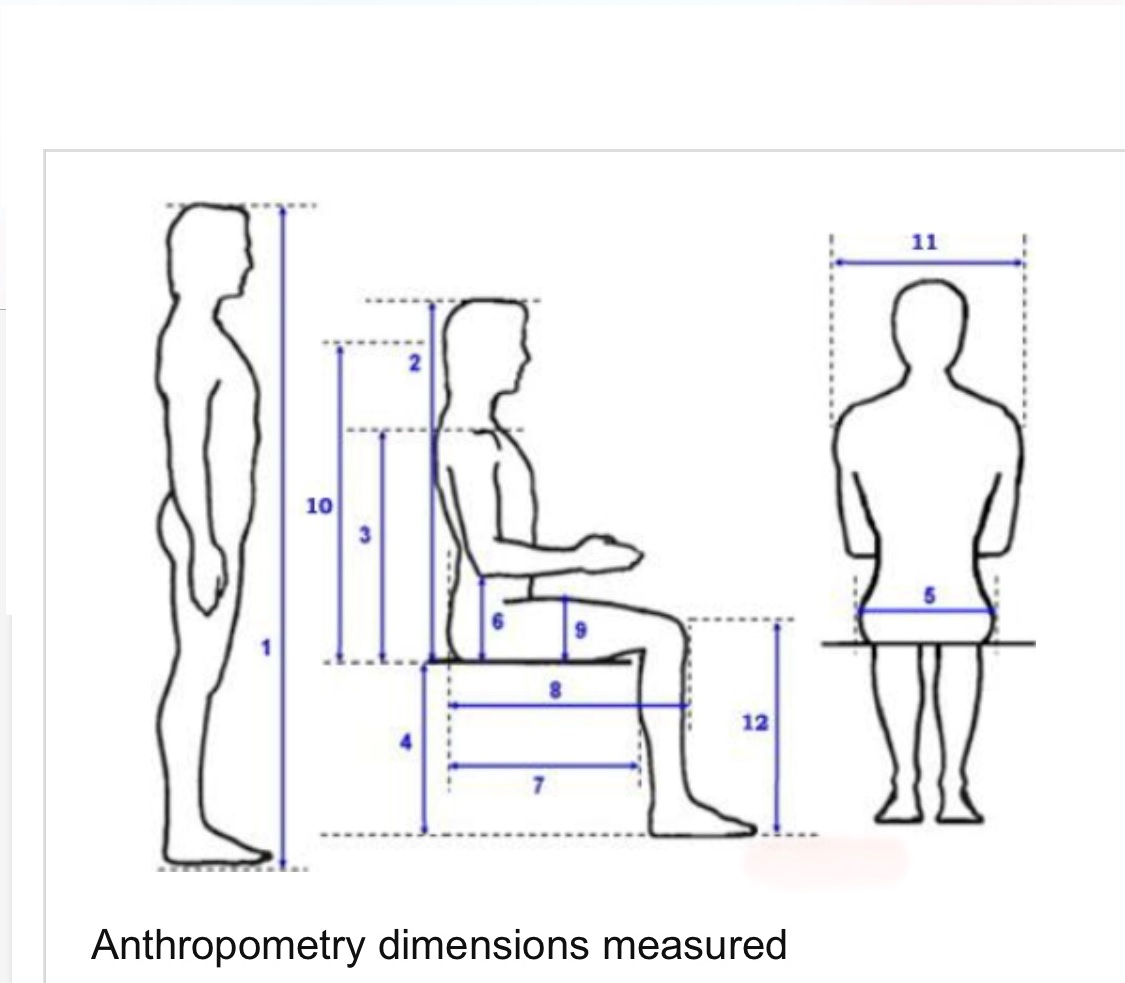 Anthropometric Data and Measurements