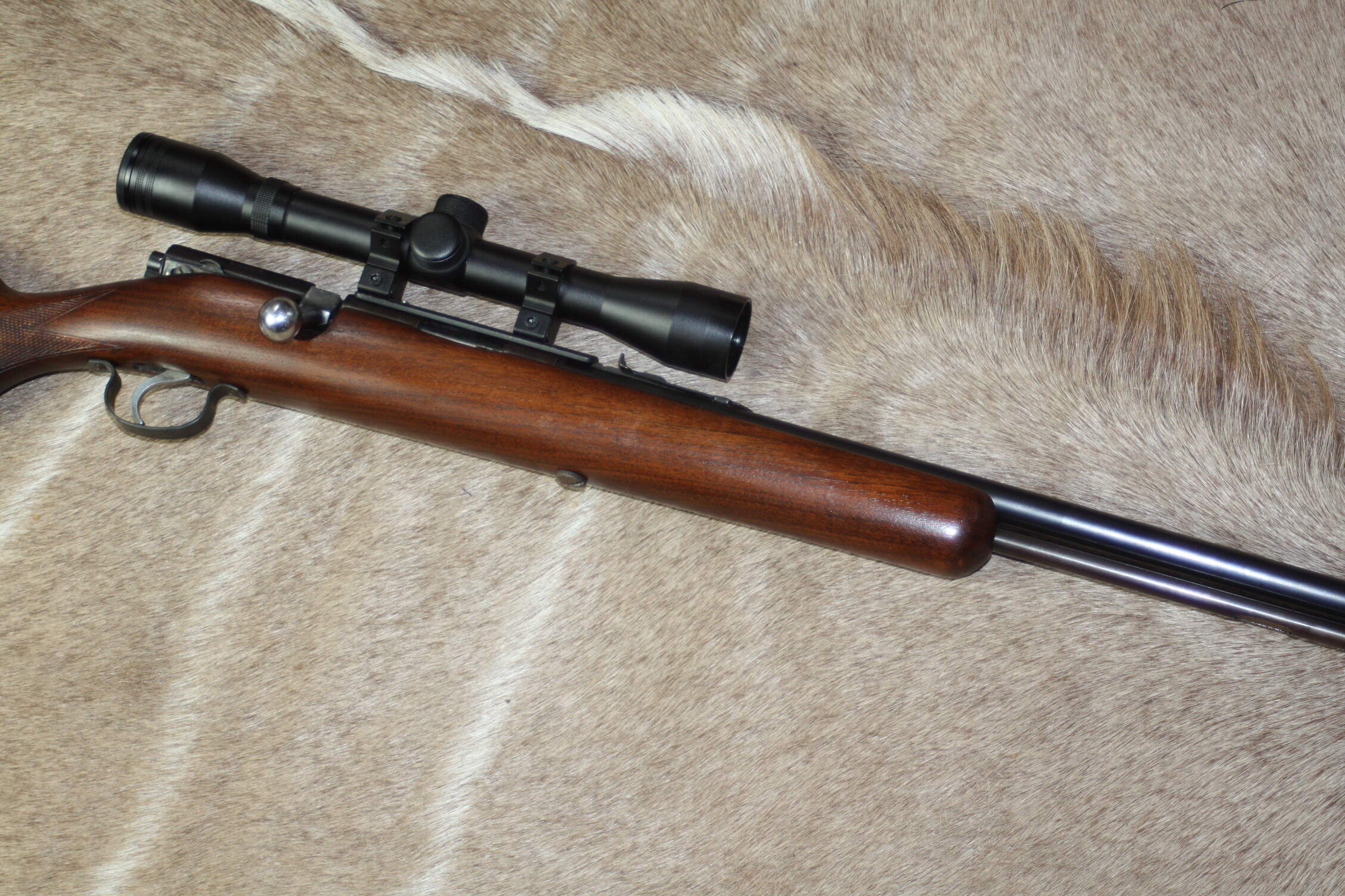 Savage Model 5 .22 LR Bolt Action Rifle