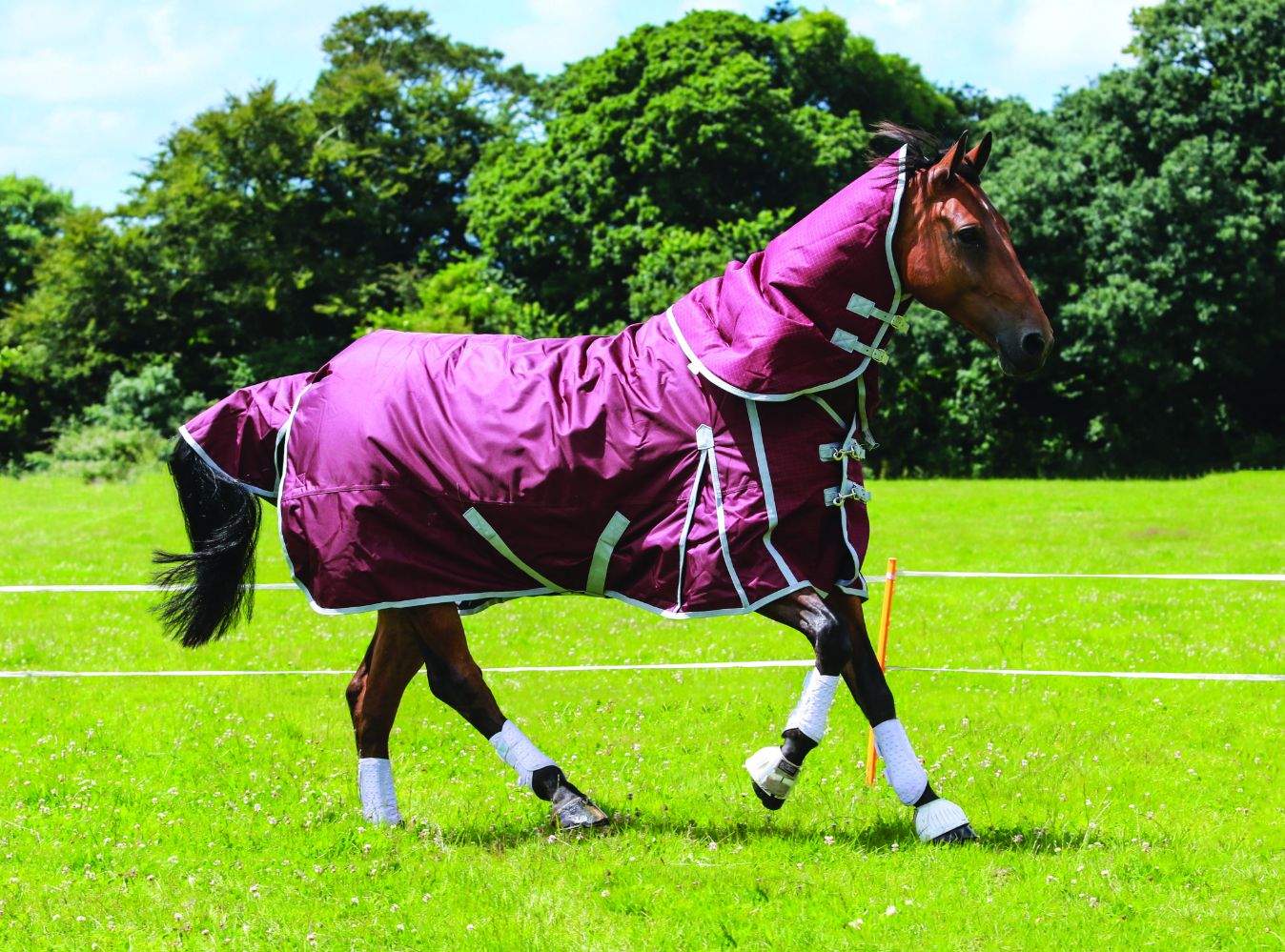 Burgundy electric fence turnout rug