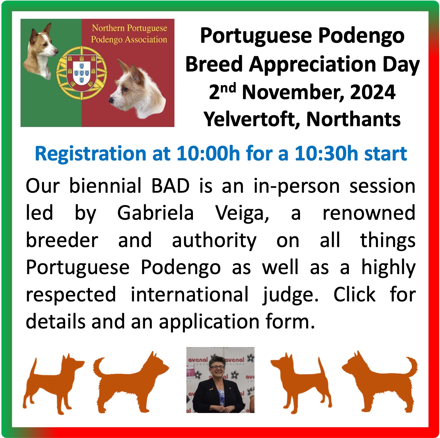 portuguese podengo club