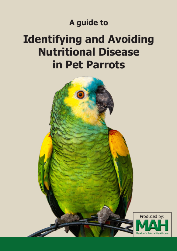 The cover of A Guide to Avoiding Nutritional Disease in Pet Parrots