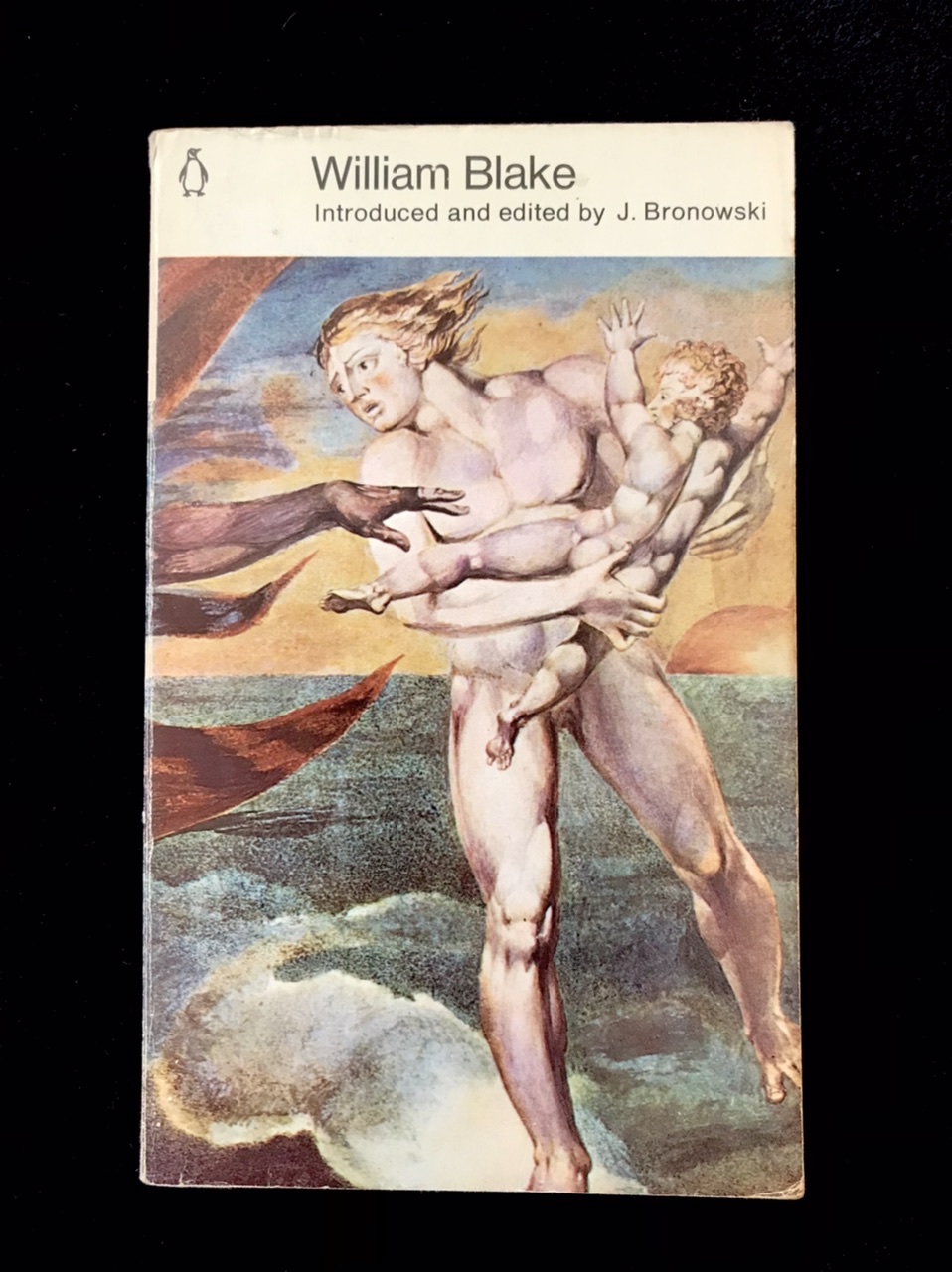 William Blake Selected Poetry