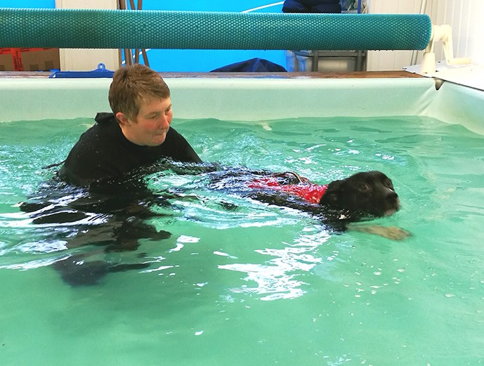 arthritis relief for dogs the Solway Canine Hydrotherapy Centre Dumfries
