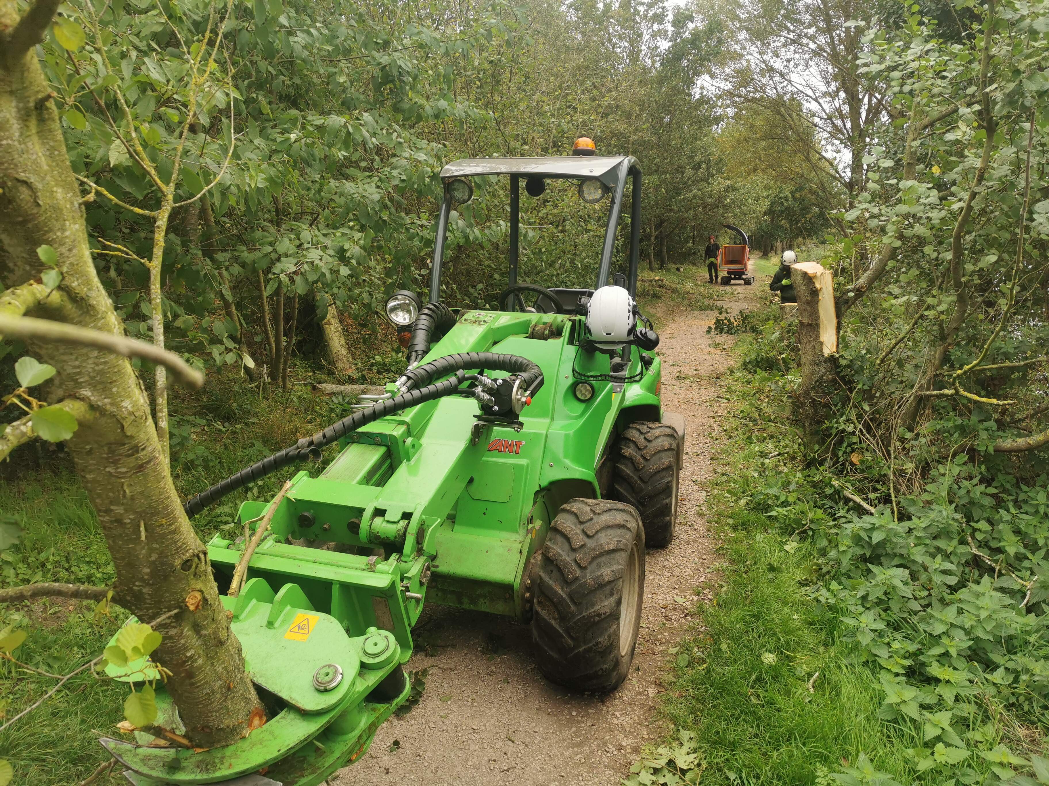 Footpath clearance round the lakes at Barton
